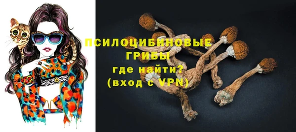 apvp Горнозаводск
