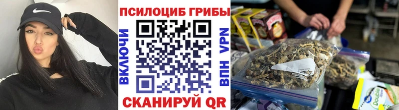 Псилоцибиновые грибы мухоморы  Купить где  Чебаркуль 